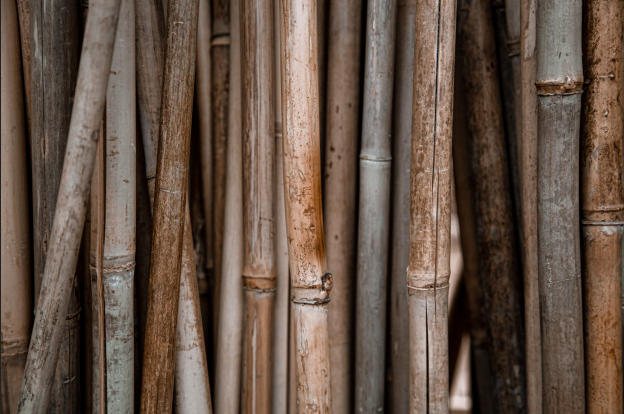 Kegunaan Dan Jenis Bambu Untuk Bangunan Rumah - Asriland