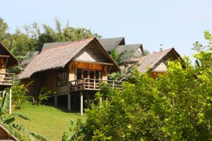 Rumah dari pohon bambu