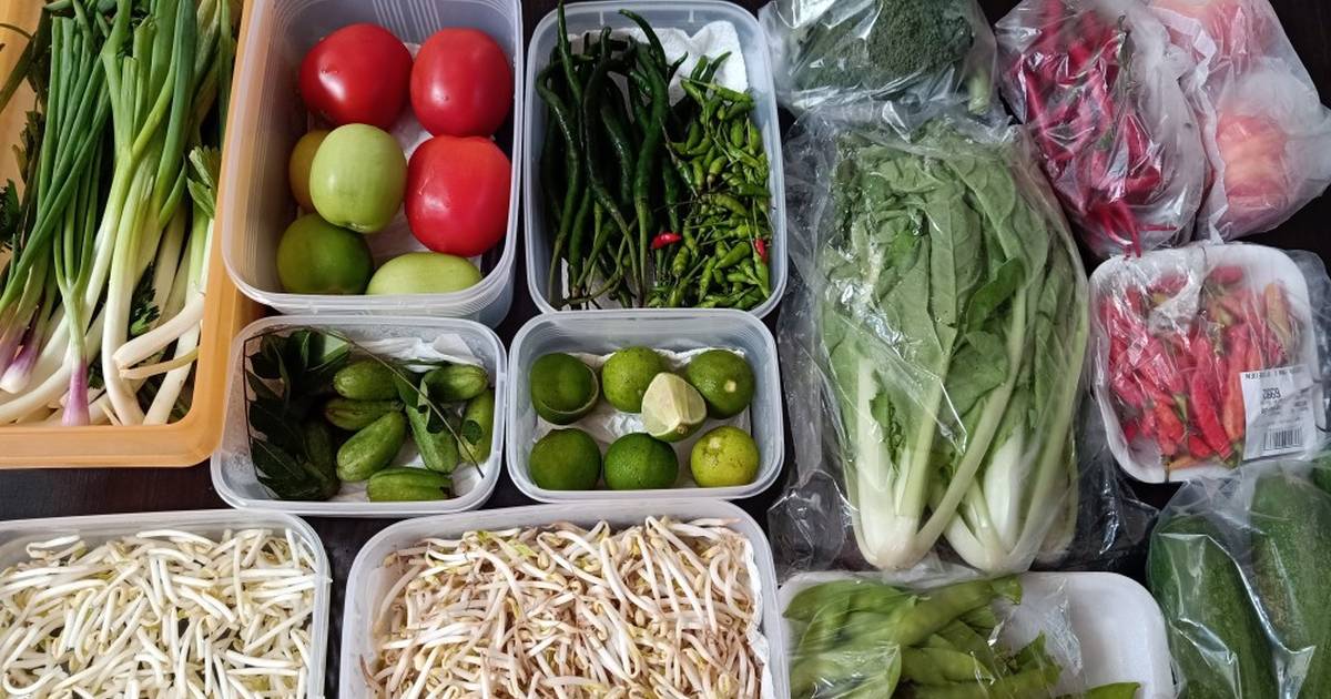 10 Tips Menyimpan Sayuran di Kulkas Yang Aman dan Tetap Segar serta Awet