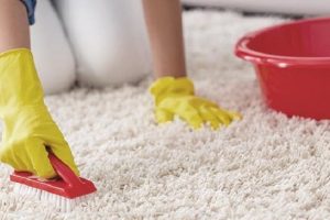 Cara Merawat Karpet Agar Tidak Mudah Lembab dan Berdebu